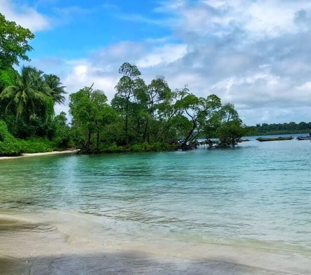 4 Nights Andaman Honeymoon