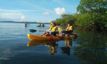 Andaman Season Trip Package