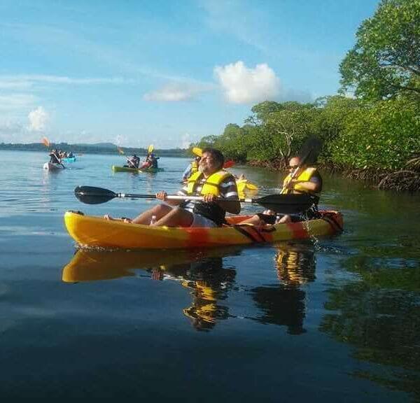 Andaman Season Trip Package