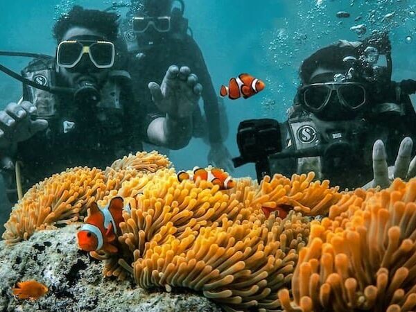 Scuba Dive