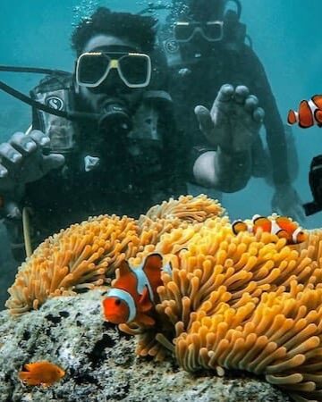 Scuba Dive