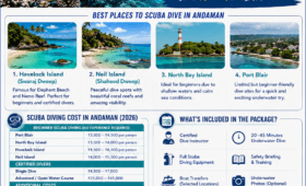 Scuba Dive in Andaman
